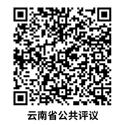 “云南评议”形式主义官僚主义专项评议