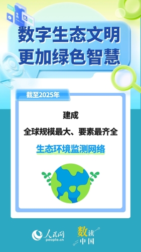 数读中国 (6)