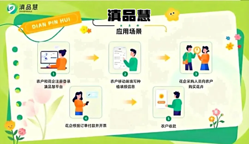 滇品汇1.webp