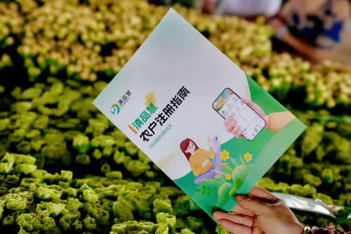滇品汇2.webp